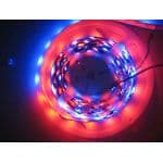 FLEX-DOT5M240RGB-IP65 image