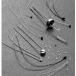 Product diagram or image