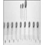 Product diagram or image