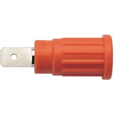 SEPB 6453 / RT image