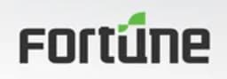 Fortune Semiconductor logo