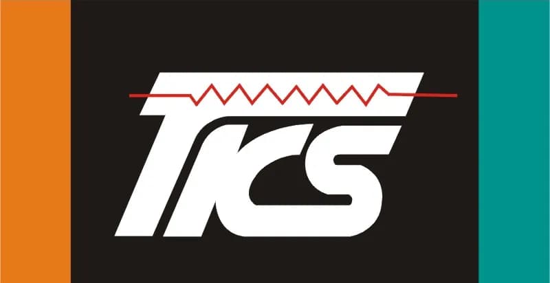 Thinking Electronic Industrial logo