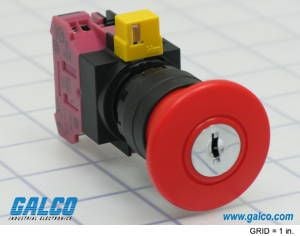 Product diagram or image