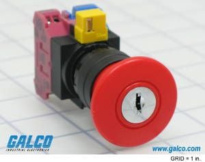 Product diagram or image