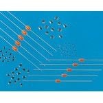 Product diagram or image