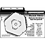 Product diagram or image