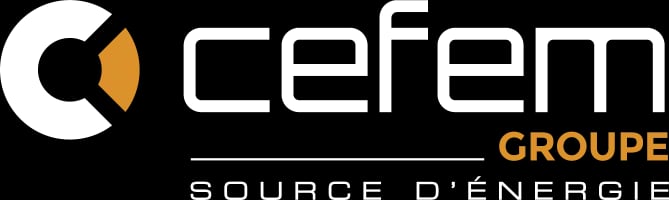 Cefem Group logo